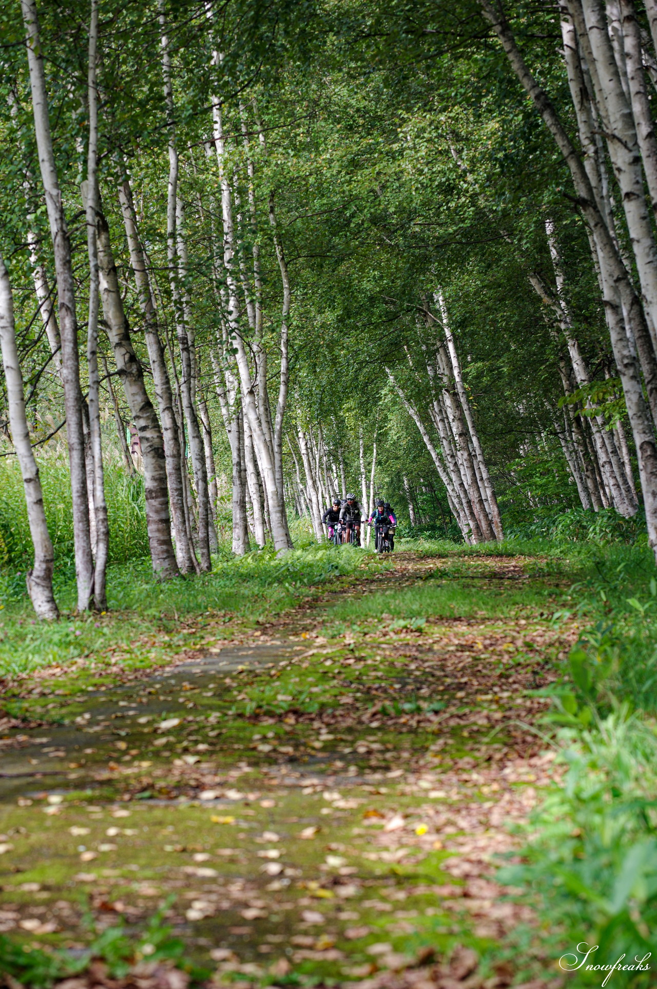 アサカワサイクル AUTUMN ROUND ＼秋の北海道☆爽快サイクリング・美瑛駅～青い池／